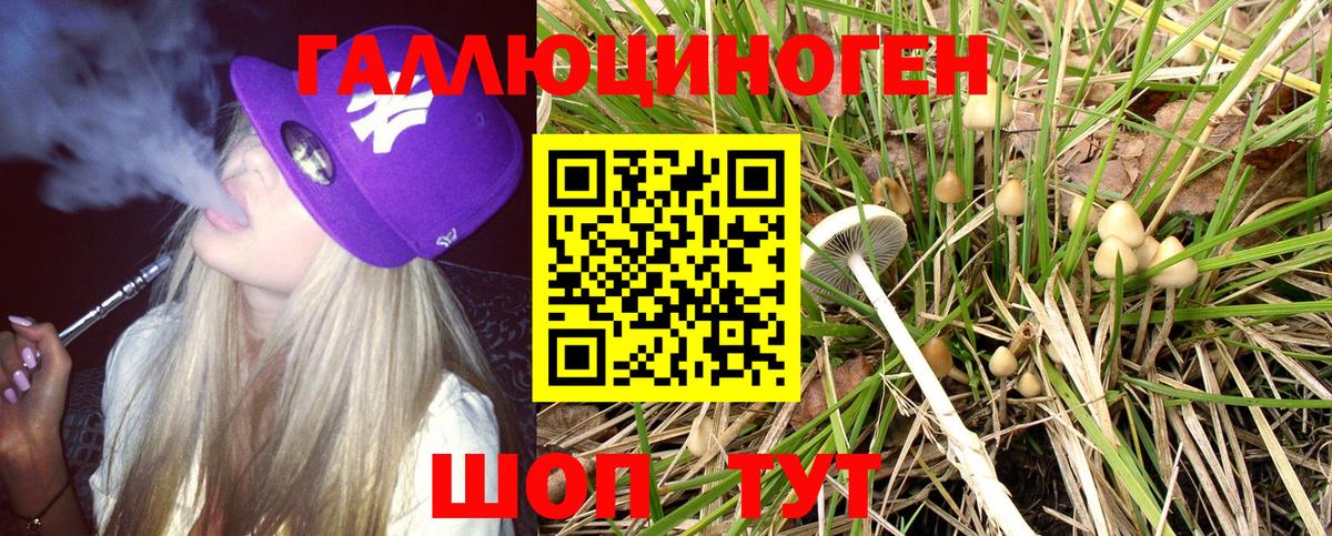 Псилоцибиновые грибы ЛСД  купить  цена  Ногинск  Галлюциногенные грибы Magic Shrooms  Вход с VPN 